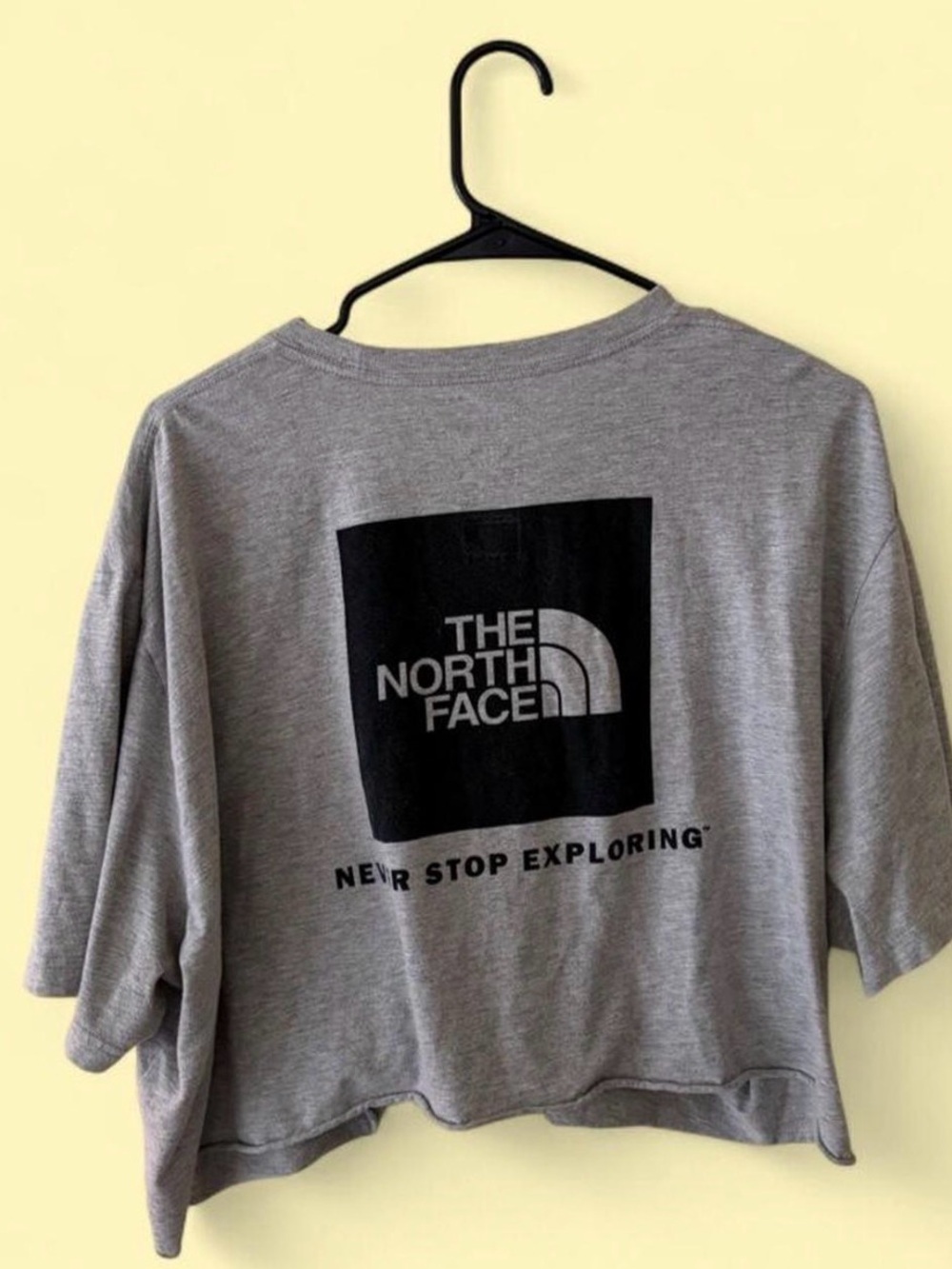 The North Face Gray Crop Tee XL